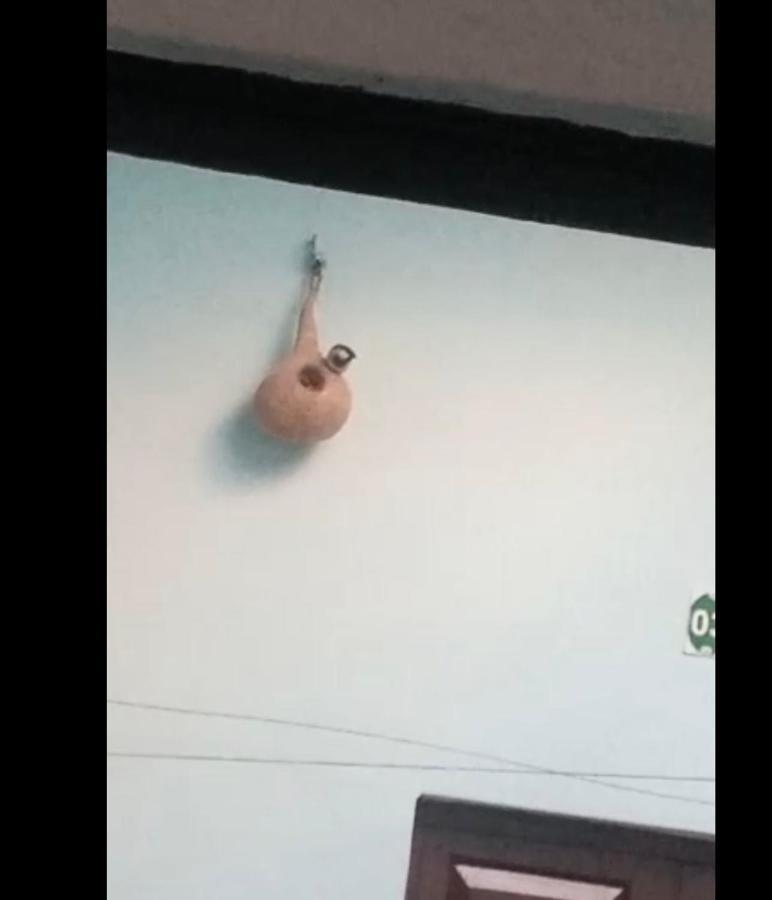Sankardev Guest House D24 35 バラナシ エクステリア 写真